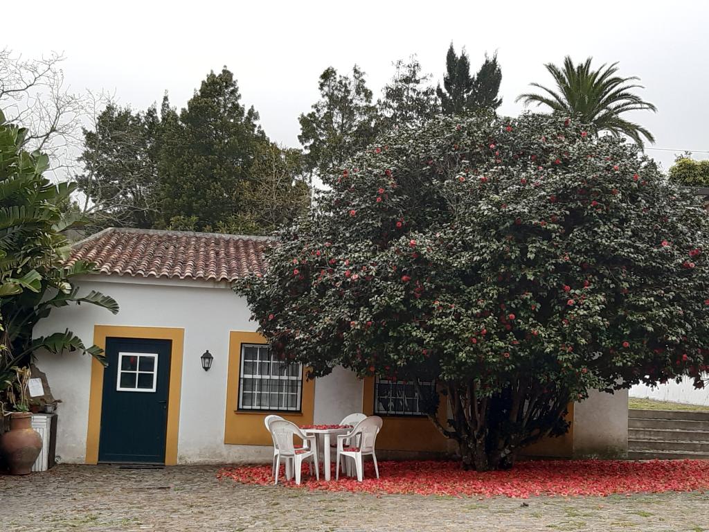Estúdio Lua Nova
